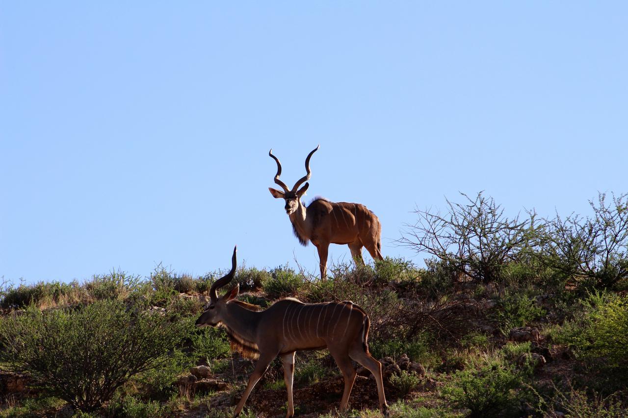 Kgalagadi Lodge Askham Zewnętrze zdjęcie